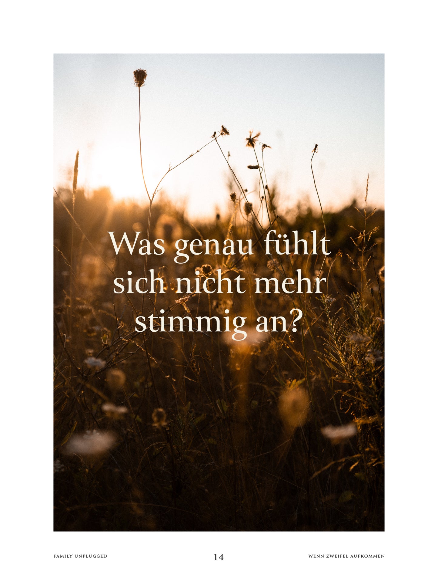eBook "family unplugged" Rückkehr zu Verbundenheit, Vertrauen und einem familienzentrierten Leben